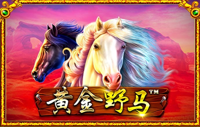华体育网官方入口